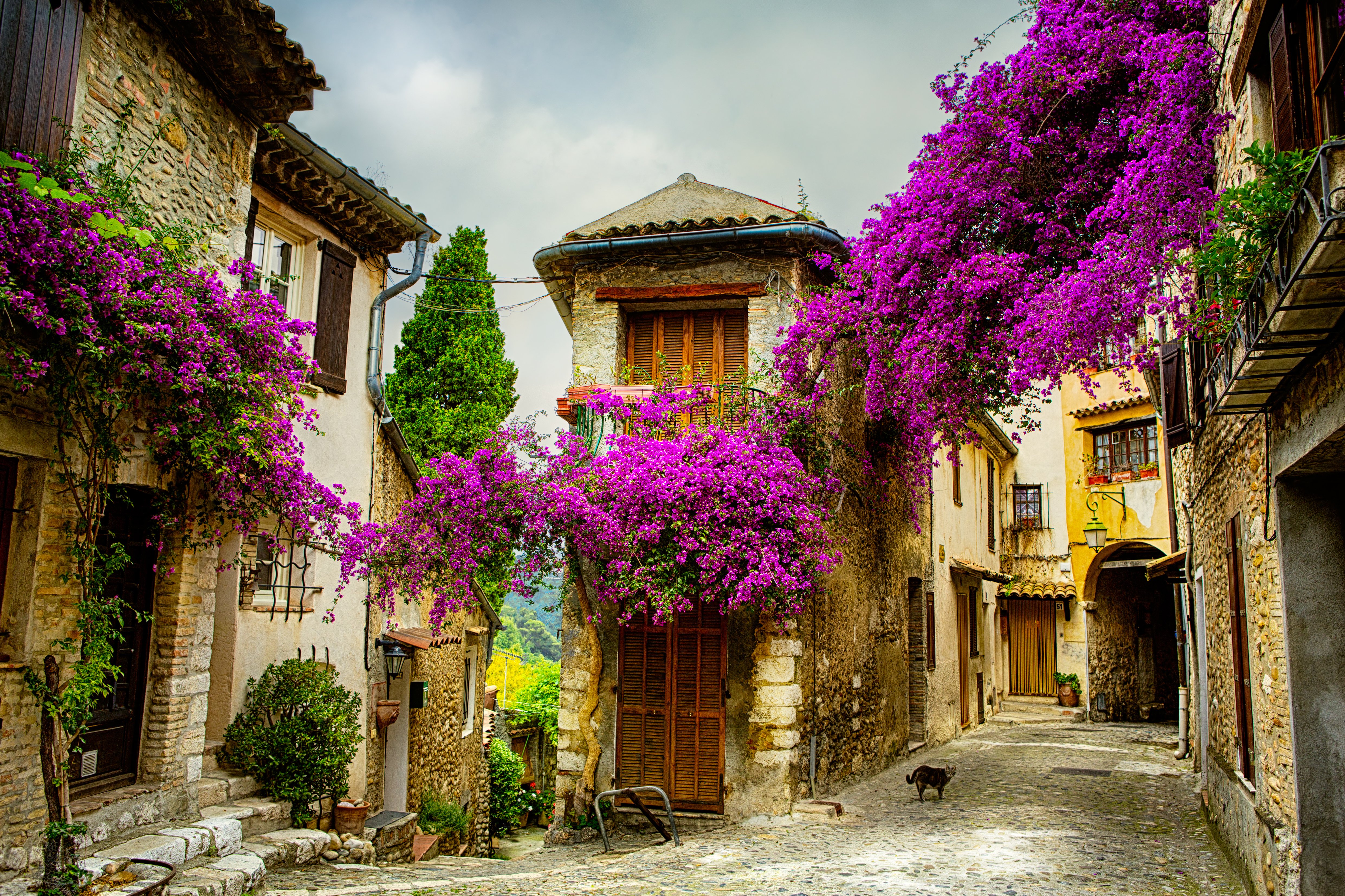 Old Town of Provence